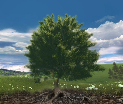 Image dinterface prsentant un arbre dans un champ