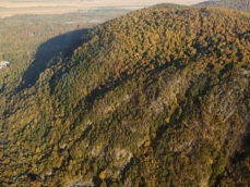 Aerial photo of a hickory-sugar maple forest