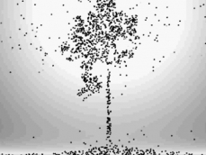 Représentation graphique du carbone stocké dans un arbre
