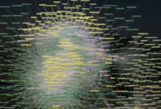 Graphic representation of a trophic network