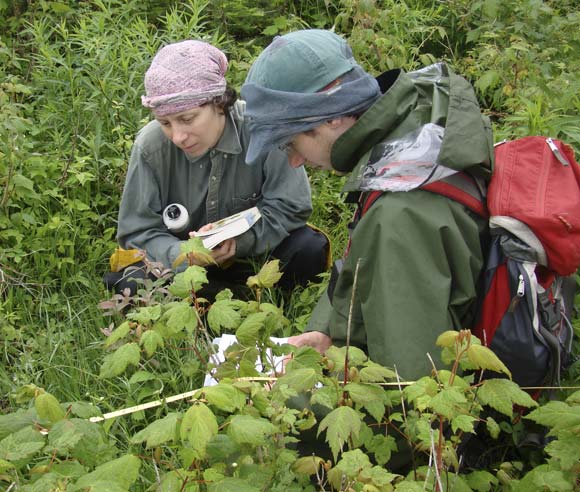 Photo of Isabelle Aubin and a student looking at plants on the forest floor