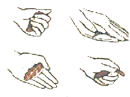 Procedure showing how handling the soil within the hand will determine its texture