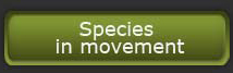 Species in movement 