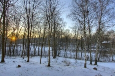 Photo d'un paysage boisé en hiver