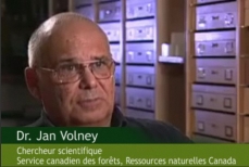 Photo of Jan Volney, research scientist, Canadian Forest Service